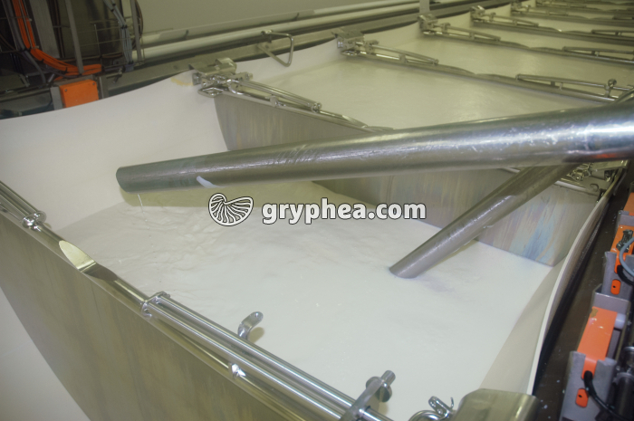 Fabrication du fromage - Remplissage des cuves de lait frais (fin) - gryphea.org